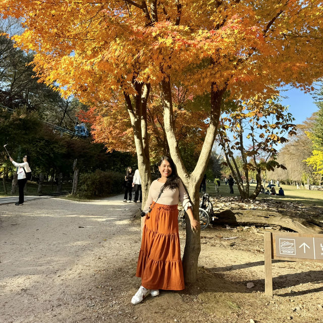 Beautiful Nami Island