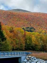 White mountain 
