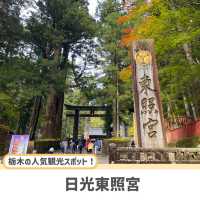 【栃木】東京から行きやすい人気紅葉スポット🍁