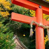 吉原神社🌅銀杏樹下的靜謐之美 🍂⛩️