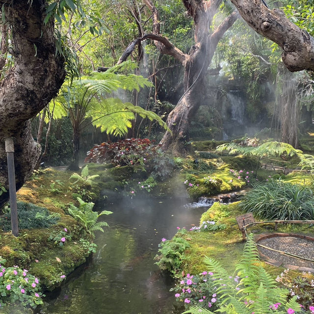 Chiang Mai 🇹🇭