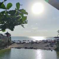 Enjoying Dreamland Beach