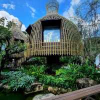 คาเฟ่ลับในป่าลึก พร้อมที่พัก : T Story - แม่กำปอง