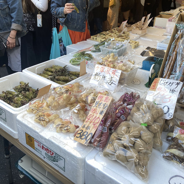 Tsukiji Fish Market