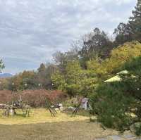 고즈넉한 멋이 있는 충북 괴산 산막이 한옥정원숲 🇰🇷