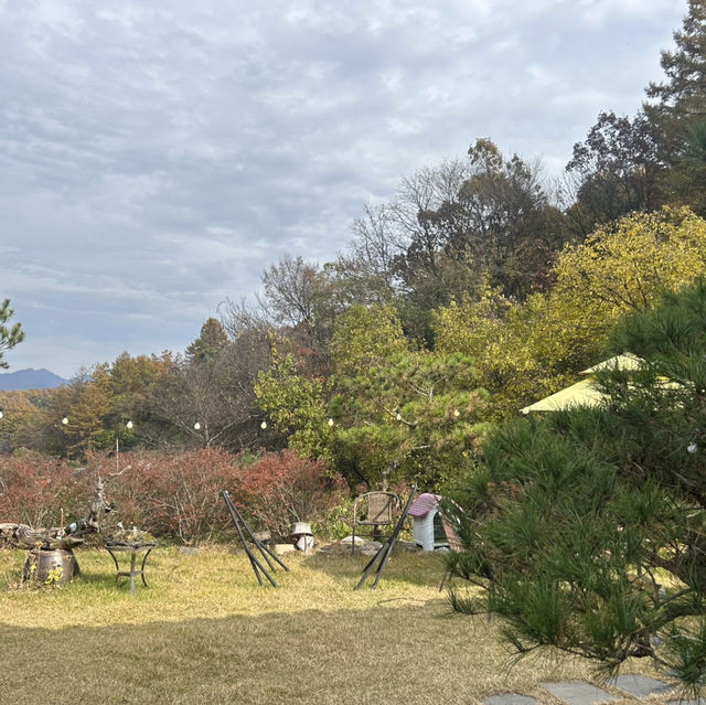 고즈넉한 멋이 있는 충북 괴산 산막이 한옥정원숲 🇰🇷