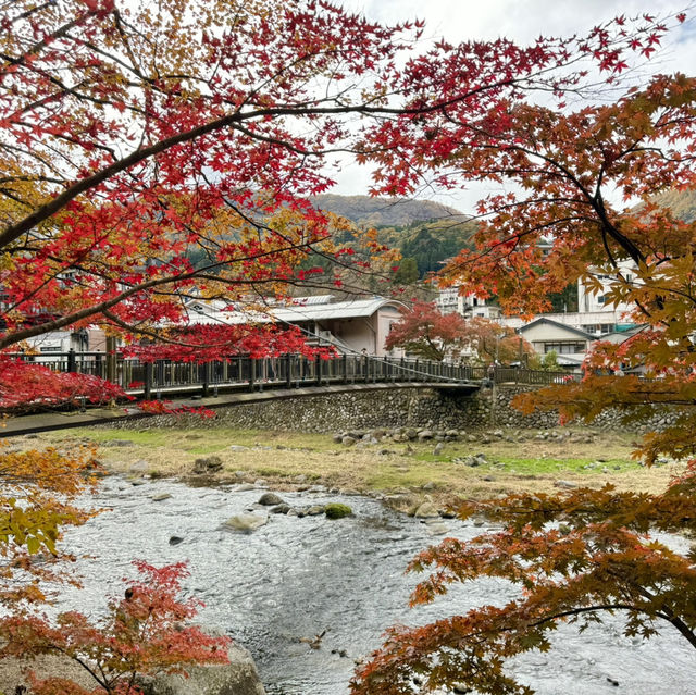 紅葉滿天的紅葉谷大吊橋