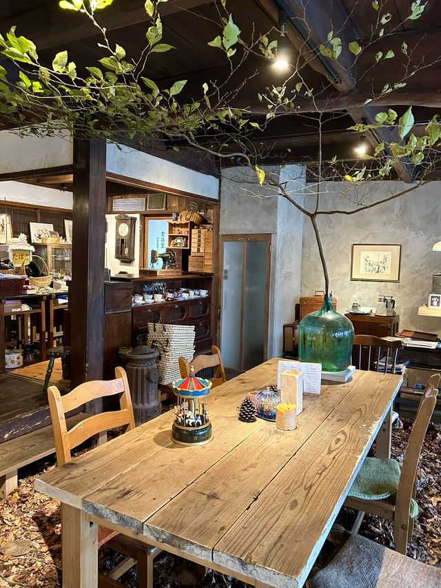【福岡みやこ町】期間限定の落ち葉の絨毯のカフェ🍂