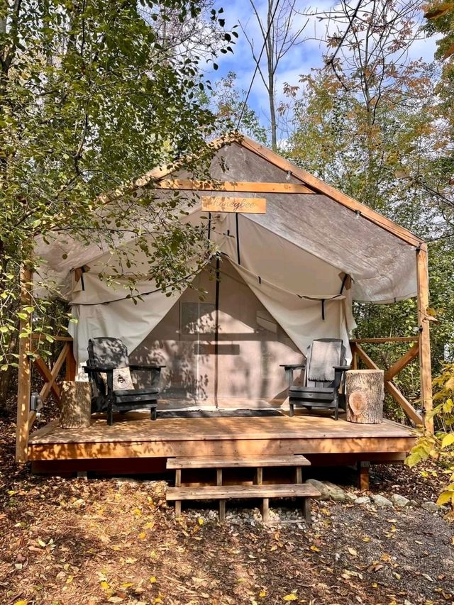 A Solo Glamping Getaway at Honeybee Hideaway