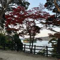 Top 3 views of Japan at Matsushima! 