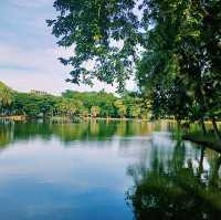 泰國曼谷著名城市綠洲公園景點:倫披尼公園，看野生大蜥蜴，城市湖泊美景，適合拍照打卡親子遊。