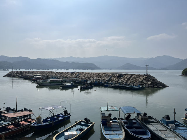 沙頭角禁區神秘之旅