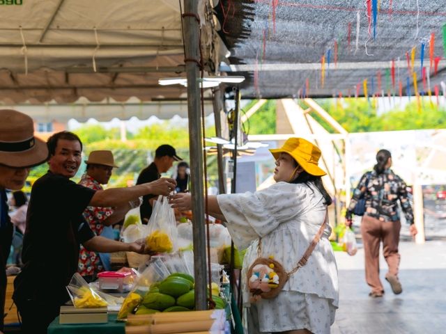 ชมทุ่งทานตะวันใกล้กรุงเทพฯ ปทุมธานี ลาดหลุมแก้ว