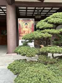 木造坐像で日本一大きい福岡大仏	