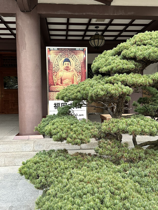 木造坐像で日本一大きい福岡大仏	