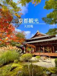 京都観光☺️美しい枯山水・池泉回遊式庭園🍁🌿天授庵
