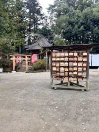 探訪仙台大崎八幡宮⛩️，感受歷史與靈性之美