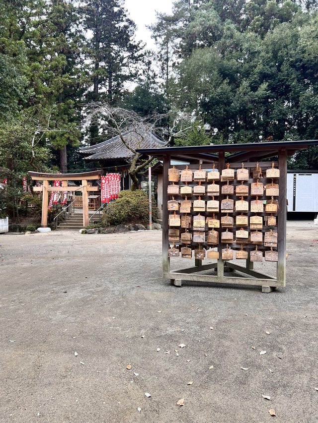 探訪仙台大崎八幡宮⛩️，感受歷史與靈性之美