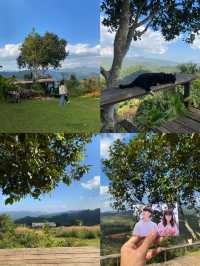 ฤดูหนาวที่ดูเลเล | จ.เชียงใหม่ 🏡⛰️🌿🔥