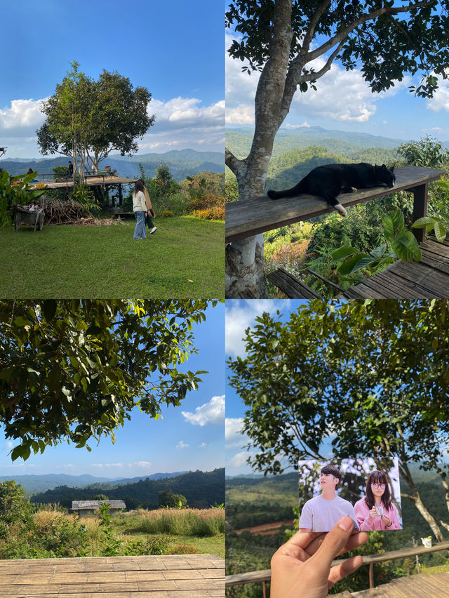 ฤดูหนาวที่ดูเลเล | จ.เชียงใหม่ 🏡⛰️🌿🔥