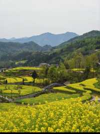 Fengyan Ancient Terraces (凤堰古梯田): A Timeless Agricultural Marvel