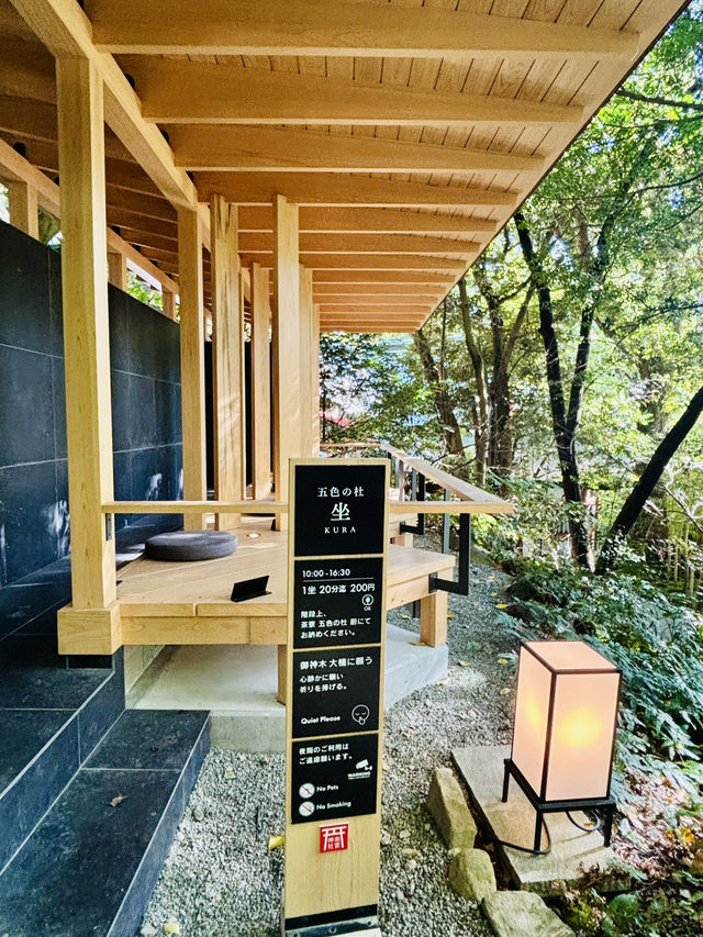 【日本伊東】來宮神社：日本能量景點，樹齡超過2000年的巨楠