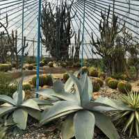Tweechol Botanical Garden 
