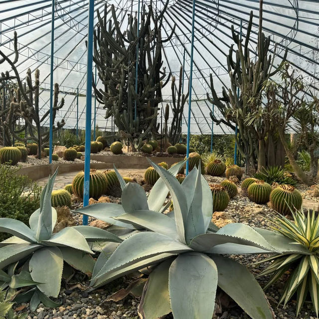 Tweechol Botanical Garden 