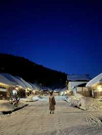 【福島】年末年始はここ行こう!!ここはまさに白銀世界