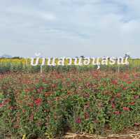 บ้านสวนอนุสรณ์ทุ่งดอกไม้น่าเที่ยวถูกใจสายคอนเทนต์
