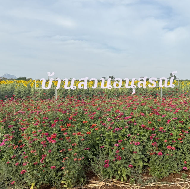 บ้านสวนอนุสรณ์ทุ่งดอกไม้น่าเที่ยวถูกใจสายคอนเทนต์
