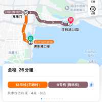 深圳灣公園｜12月深圳的浪漫是日落和海鷗給的