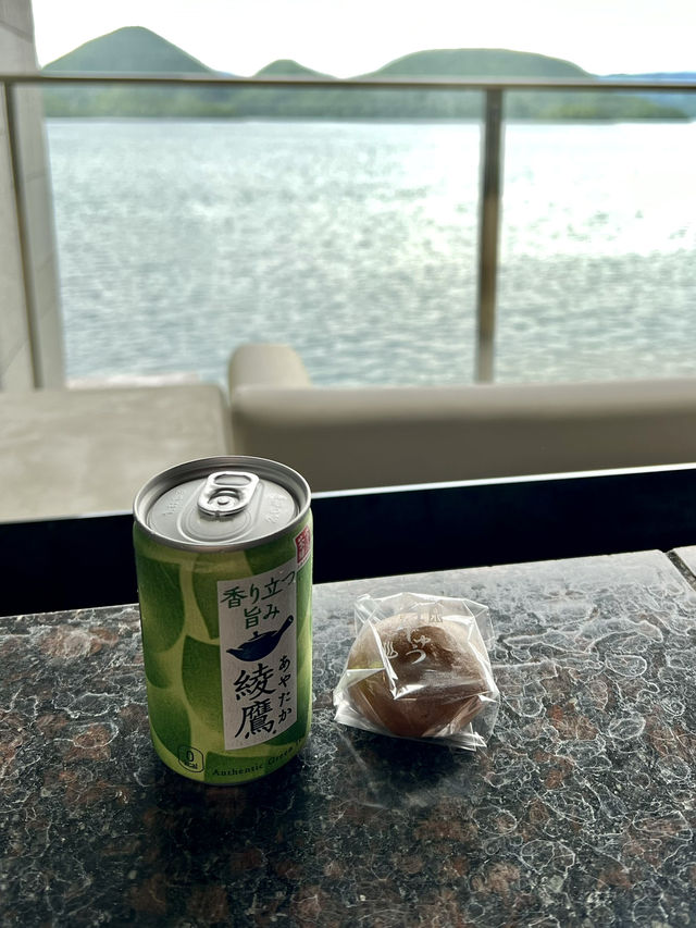 Lake Toya Hot Spring🦢
