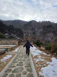 역대급 산뷰와 함께하는 낭만 사찰💙