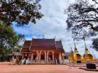 ไหว้พระ ขอพร วัดพระธาตุดอยตุง เชียงราย