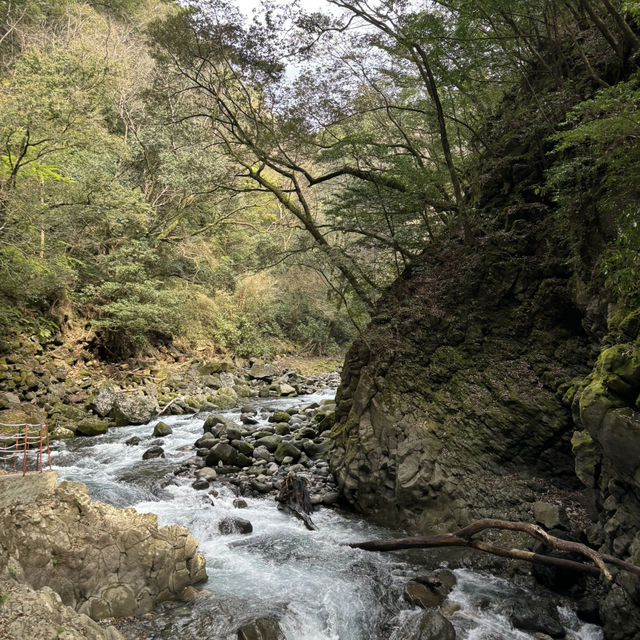 ## 高千穗：神話與自然交織的聖地⛩️