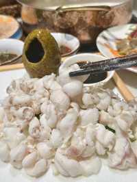 深圳｜魚逗