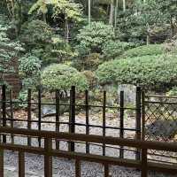 A Tranquil Escape: My Onsen Experience at Arima Onsen Taketoritei Maruyama