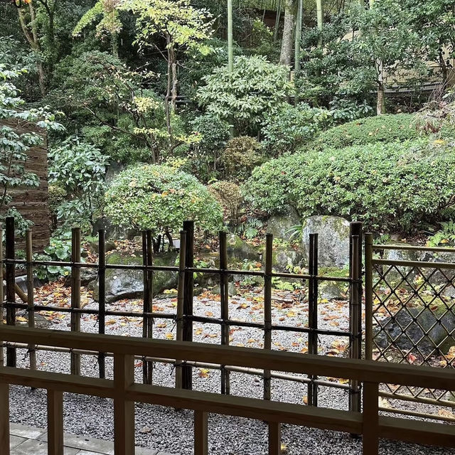 A Tranquil Escape: My Onsen Experience at Arima Onsen Taketoritei Maruyama