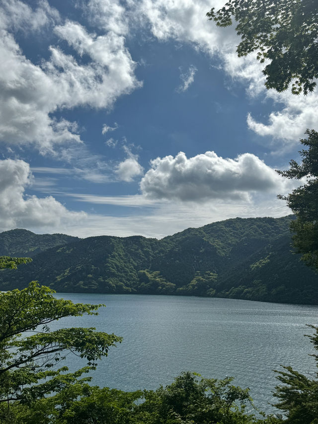 新緑の箱根九頭龍神社🌿自然とご利益に癒される旅