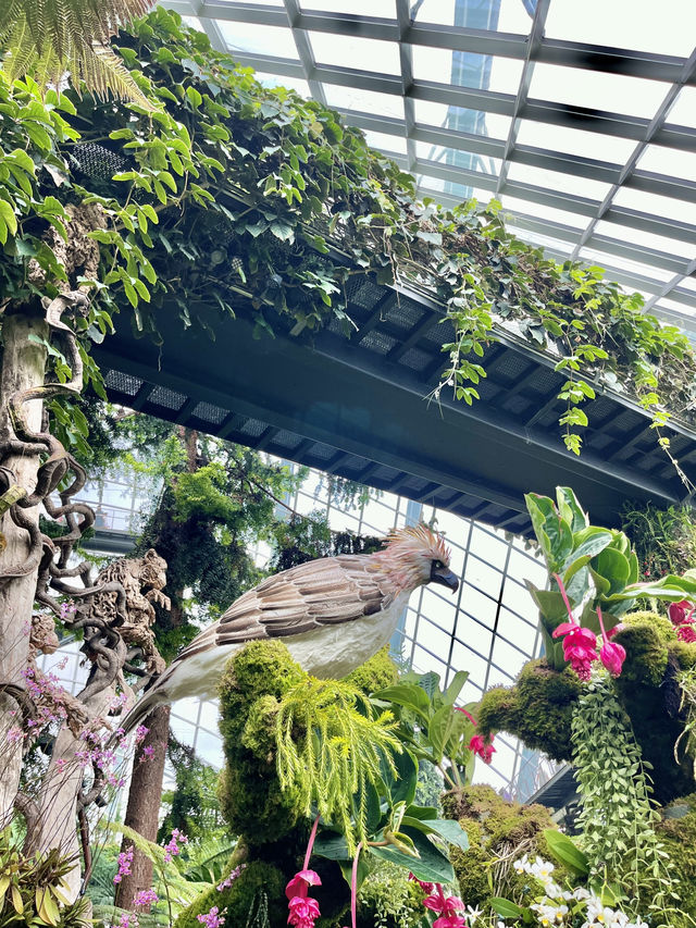 세계 최고의 온실 정원, 클라우드 포레스트🌱