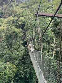 Exploring the Wild: My Adventure at Taman Negara National Park, Malaysia