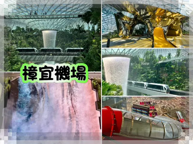 樟宜機場-全球最佳機場之一,超美建築,大量打咭熱點