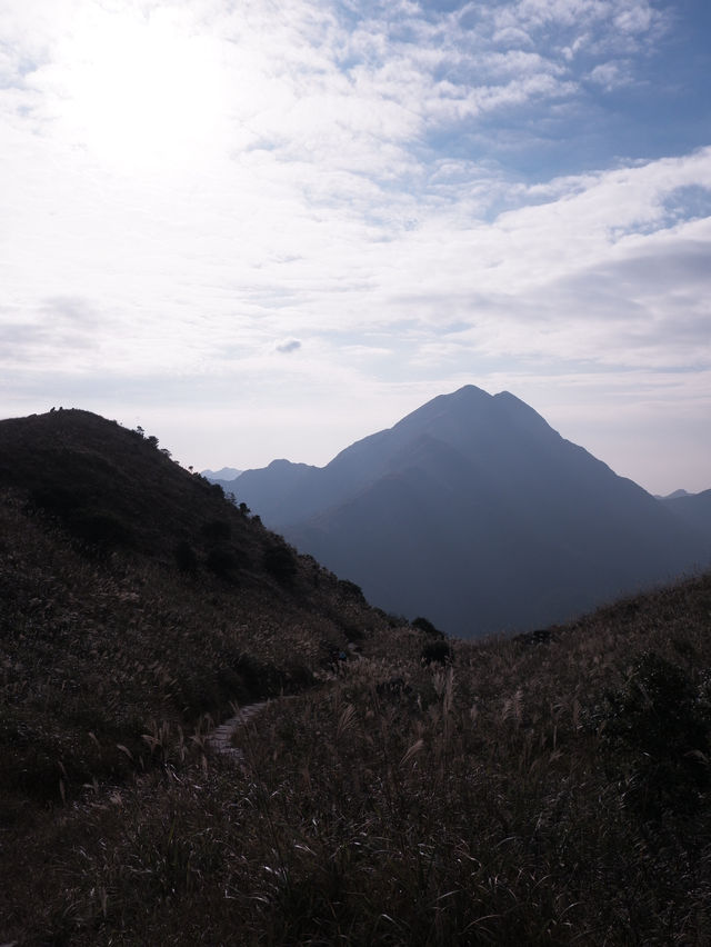 香港徒步路線：大東山 