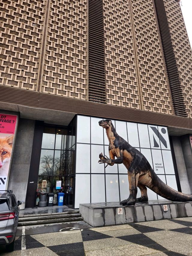 유럽여행 브뤼셀에서 공룡뼈를 볼 수 있는 자연과학 박물관 
