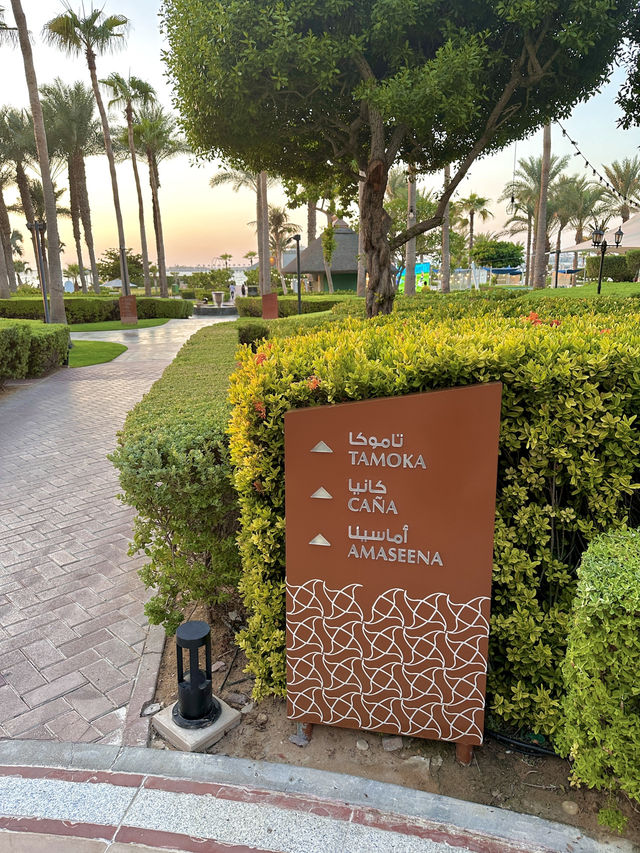 【アラブ首長国連邦|ドバイ】Tamoka Dubai