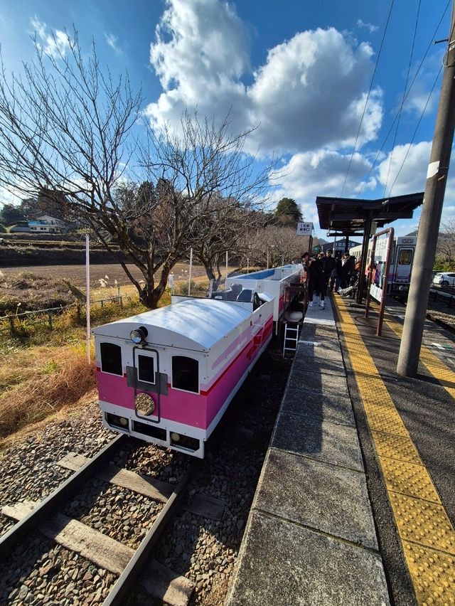 Amaterasu Railyway Fun 🚉