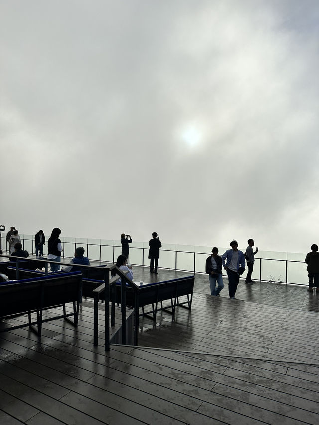 【北海道×3泊4日の旅】星野リゾートトマムの代表的スポット 「雲海テラス」