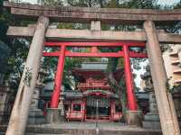 【愛知】狛犬が鹿🦌珍しい連理木がある神社⛩️