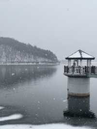 눈으로 뒤덮인 서울근교 드라이브+산책로 추천❄️